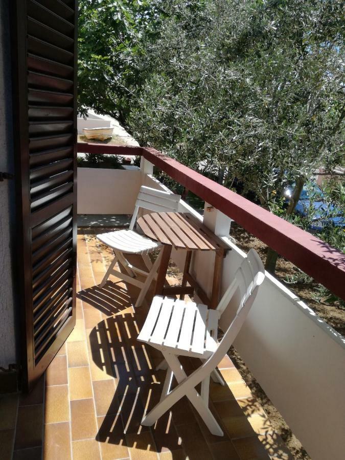 Aenona Sunny Apartment Vrsi Exteriér fotografie